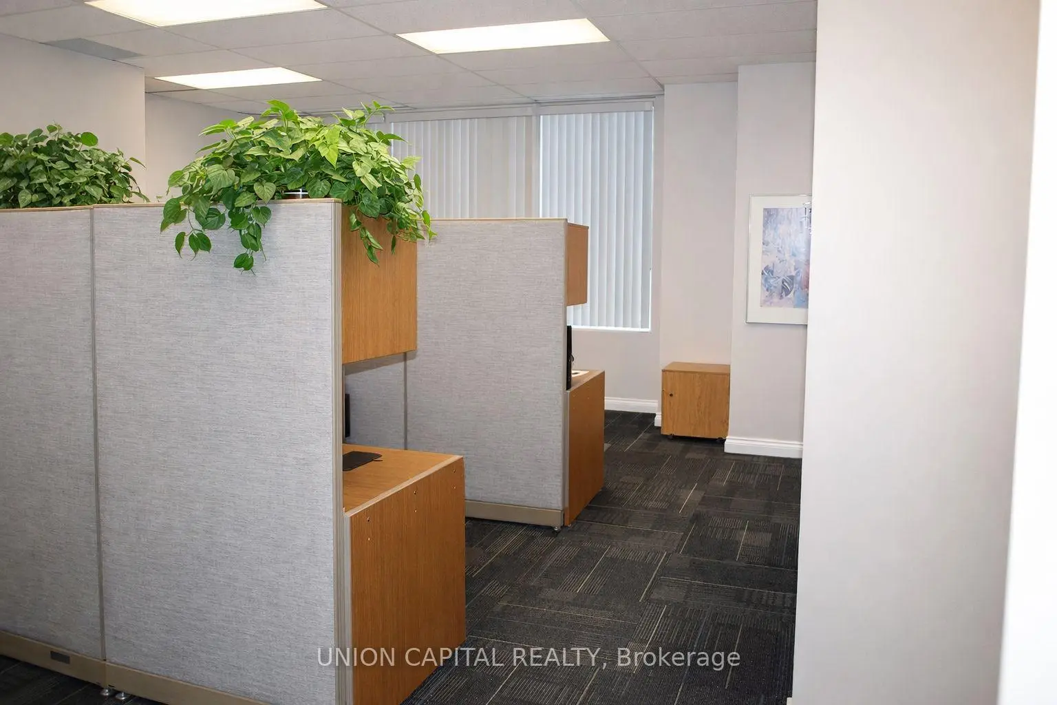 Commercial for lease